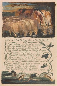 Songs of Innocence and of Experience, Plate 36, The Clod & the Pebble (Bentley 32) by William Blake