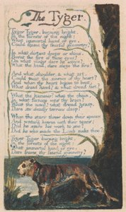 Songs of Innocence and of Experience, Plate 42, "The Tyger" (Bentley 42)
