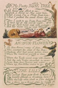 Songs of Innocence and of Experience, Plate 47, "My Pretty Rose Tree" (Bentley 43)