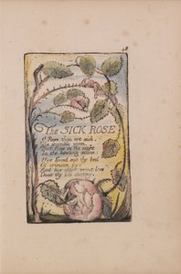 Songs of Innocence and of Experience, Plate 48, The Sick Rose (Bentley 39)