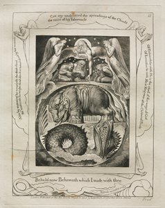 The Book of Job: Pl. 15, Behold now Behemoth which I made with thee, 1825 by William Blake