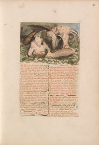 The First Book of Urizen, Plate 26, The Ox in the Slaughter House Moans.... (Bentley 25)