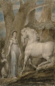 The Horse