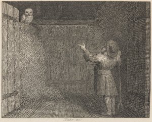 The Owl and the Farmer