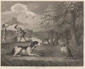 The Setting-dog and the Partridge by William Blake