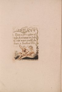 There Is No Natural Religion, Plate 5, III From a perception.... (Bentley a6)
