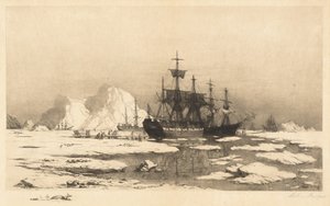 Among the Ice Floes