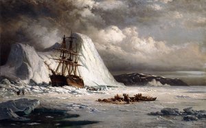 Icebound Ship