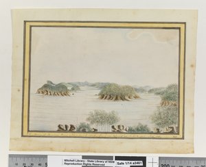 SW. Arm of Broken Bay New South Wales from an Island at the Entrance. Sepr 1789