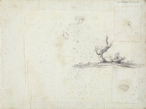 Sketch of a Tree (inverted)