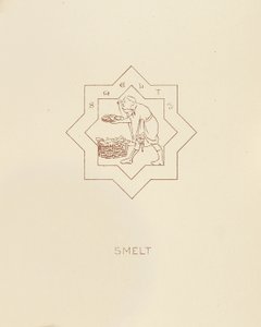 Smelt