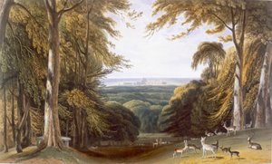 Glen in Windsor Park near Bishops Gate, c. 1827-1830 by William Daniell