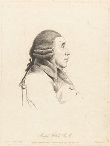 Joseph Wilton, R.A. by William Daniell