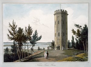 Nelson