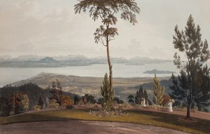 View from Strawberry Hill, Prince of Wales Island by William Daniell