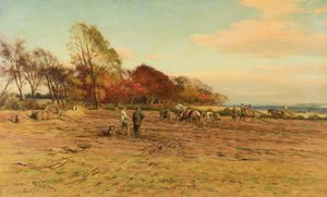 Gathering Potatoes