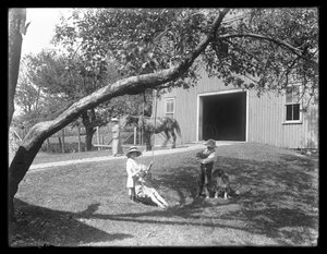 Children of the McCready Family with a Dog and Puppy Gathered Around a Rope Swing Outside a Barn, c.1913 by William Davis Hassler