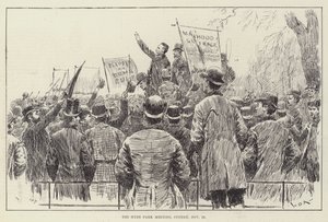 The Hyde Park Meeting, Sunday, 20 November
