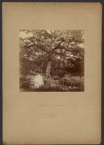Forest of Fontainebleau by William Drooke Harrison