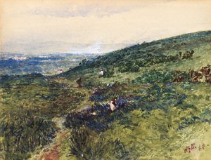 Coast Scene