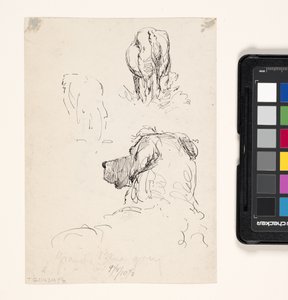 Dog (Recto), Dog And Cow (Verso)