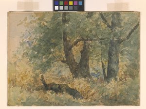 Woodland Landscape