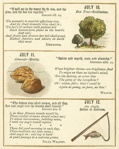 Page from The Bible Emblem Anniversary Book