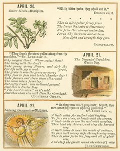 Page from The Bible Emblem Anniversary Book by William Foster