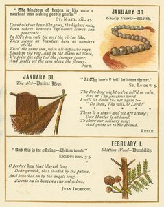 Page from The Bible Emblem Anniversary Book