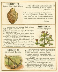 Page from The Bible Emblem Anniversary Book by William Foster