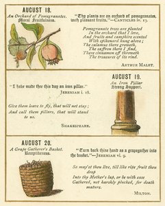 Page from The Bible Emblem Anniversary Book by William Foster