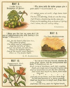 Page from The Bible Emblem Anniversary Book
