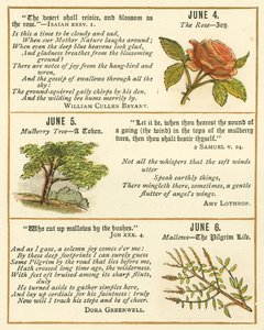 Page from The Bible Emblem Anniversary Book by William Foster