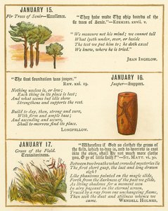 Page from The Bible Emblem Anniversary Book