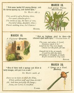 Page from The Bible Emblem Anniversary Book by William Foster
