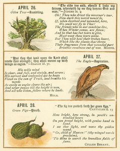 Page from The Bible Emblem Anniversary Book by William Foster