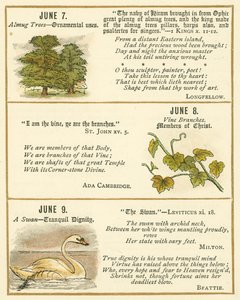 Page from The Bible Emblem Anniversary Book by William Foster