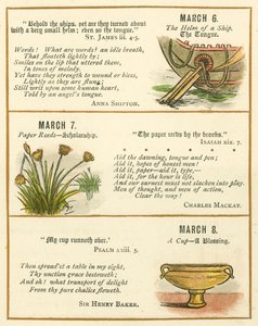 Page from The Bible Emblem Anniversary Book by William Foster