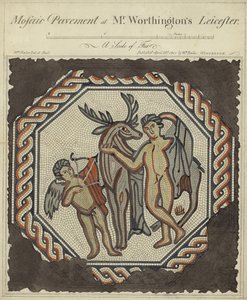 Mosaic Pavement at Mr Worthington