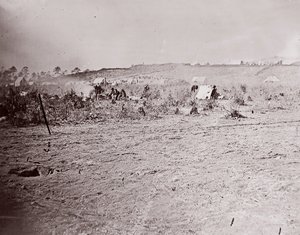 Distant View of Fort Brady by William Frank Browne