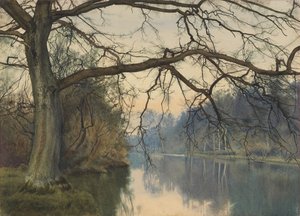 A Great Tree on a Riverbank by William Fraser Garden