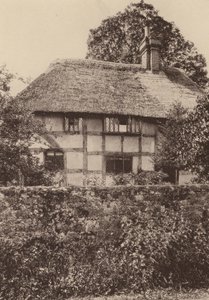 At West Burton, West Sussex