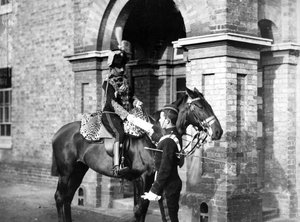 Officer of the 3rd Hussars