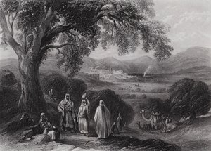 Vale of Nazareth by William H. Bartlett