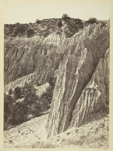 Rain Sculpture, Salt Creek Canyon, Utah by William H. Bell