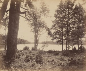 Ganoga Lake