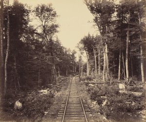 Ganoga Lake Branch