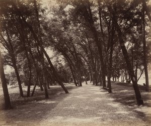 Picnic Grounds