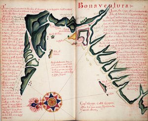 Bonaventura by William Hack