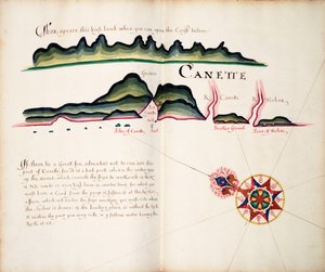 Canette by William Hack